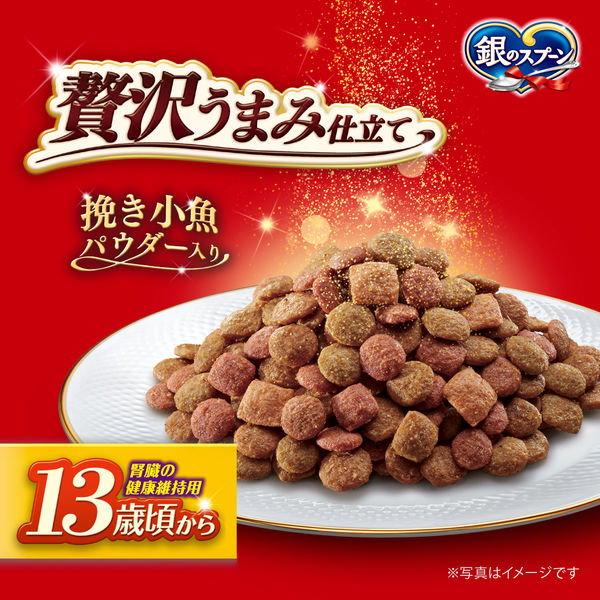 銀のスプーン　ドライ　1.３キロ×６袋　ミャウミャウパウチ70g×8袋 銀のスプーンドライ1.3キロ×6袋ミャウミャウパウチ70g×8袋