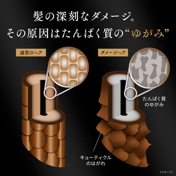 ラックス(LUX) バイオフュージョン ダメージディフェンス コンディショナー 詰め替え 200g 2個 - アスクル