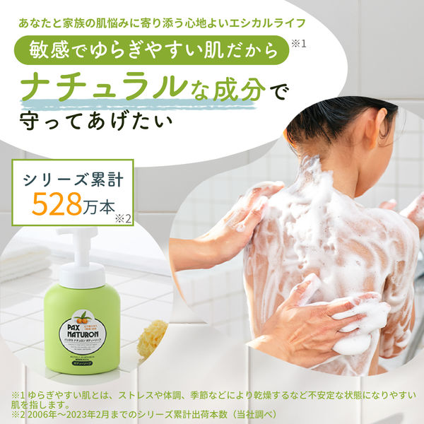 パックスナチュロン　ボディーソープ泡状ポンプ式Ｎ　５００ml 1個　敏感肌用　無添加　天然由来100%　せっけん　肌荒れ予防 【泡タイプ】