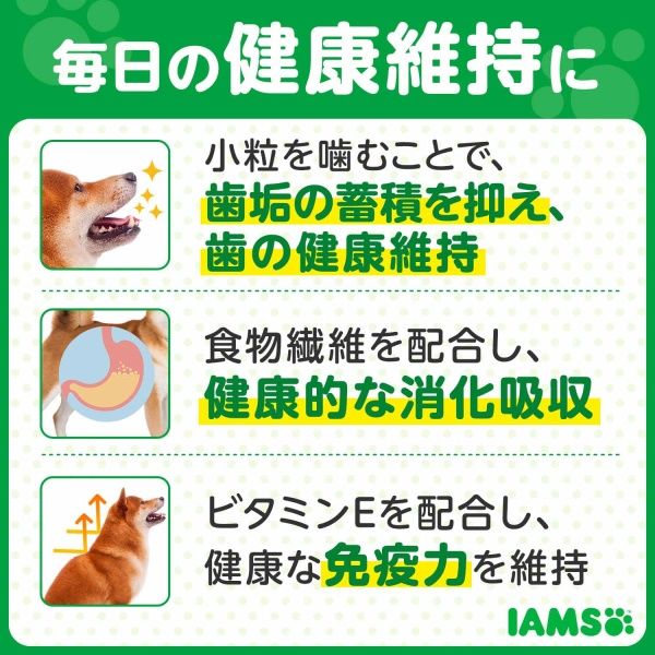 Amazon.co.jp: 【セット買い】アイムス (IAMS) 成犬用 健康維持