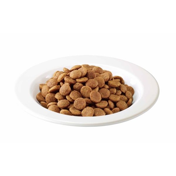 アイムス キャットフード 成猫用 インドアキャット チキン 5kg 2 アイムス キャットフード 成猫用 インドアキャット チキン 5kg 2