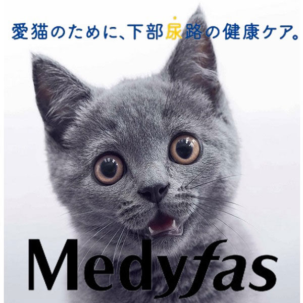 メディファス 1歳から チキン味 チキン味 MFD-31 1.5kg(250ｇ×6)ｘ6