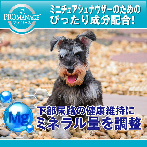 プロマネージ ドッグフード 成犬用 ミニチュアシュナウザー専用 1.7kg 2袋 マースジャパン - アスクル