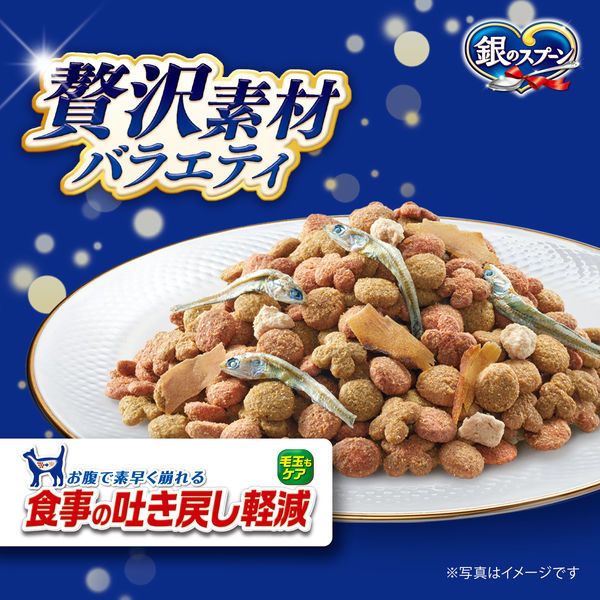 銀のスプーン 贅沢素材バラエティ 吐き戻し軽減フード 天然小魚