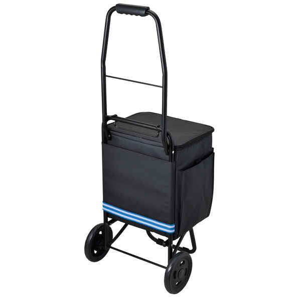 サーモス（THERMOS）ソフトクーラー クーラーボックス 20L 保冷