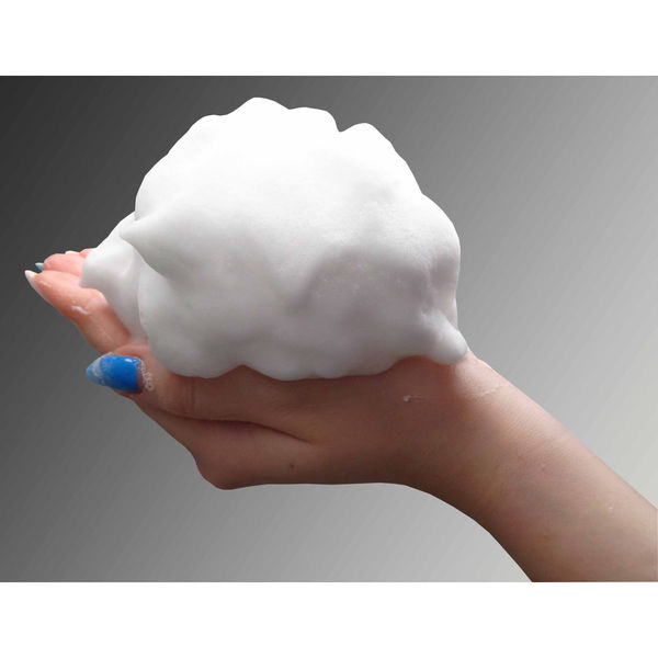 地の塩社 どくだみ洗顔フォーム 4982757915294 1個(75G)（直送品