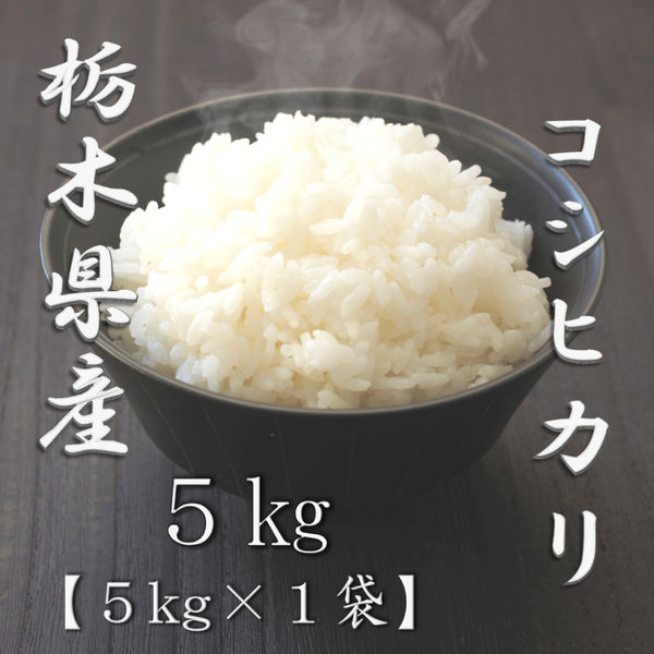 セール】栃木県産コシヒカリ 5kg 1袋 精白米 令和6年産 お米