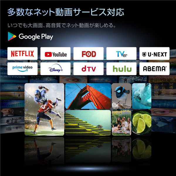WIS 24インチgoogleチューナーレスTV 24GTN 1台（直送品） - アスクル