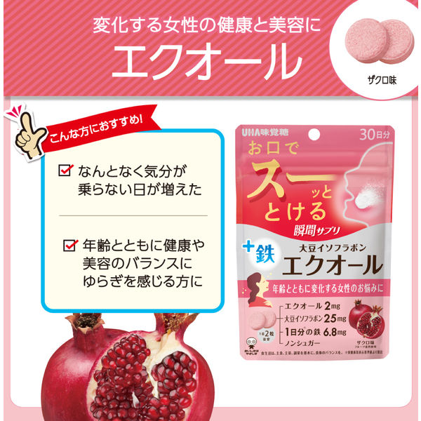 瞬間サプリ エクオール 30日分 1袋（60粒入） UHA味覚糖 - アスクル