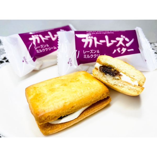 数量限定！在庫処分セール 売り切れ御免 ブルボン ガトーレーズン ファミリーサイズ 1セット（10個入×3袋 その他 加工食品