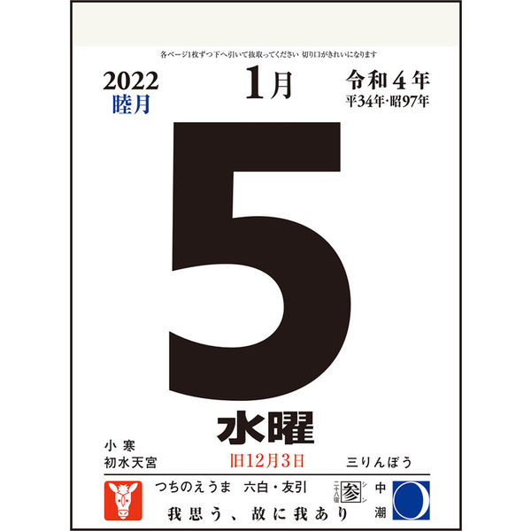 高橋書店 【2022年版】日めくりカレンダー 極小型 E505 1セット