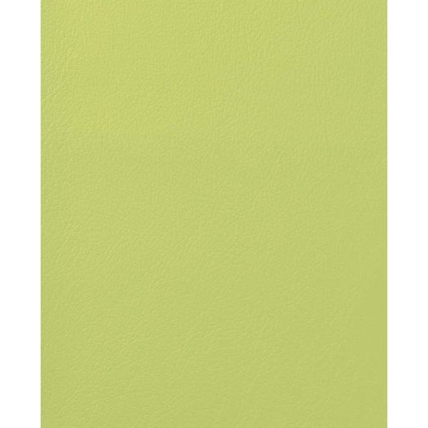 軒先渡し】ライオン事務器 サポート用チェアー No.3810 5本脚 足掛なし