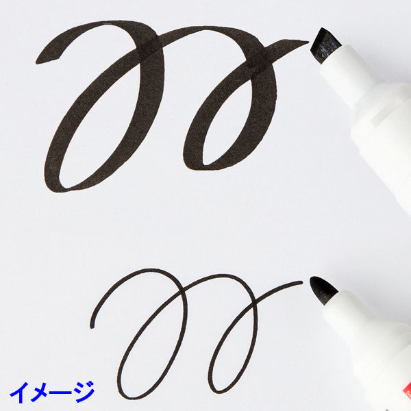 カードキャプターさくら 海外限定 アリスさくら 本型ボックス