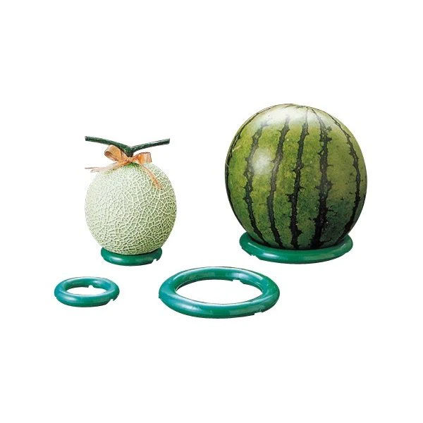 スイカ 2026年6月中旬予約開始予定】◎JA北九 若松潮風プレミアム アムール