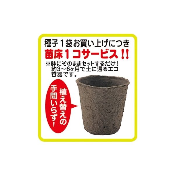 オクラです ネトロンオクラ用 100枚 100×170mm 緑の通販｜ホームセンター