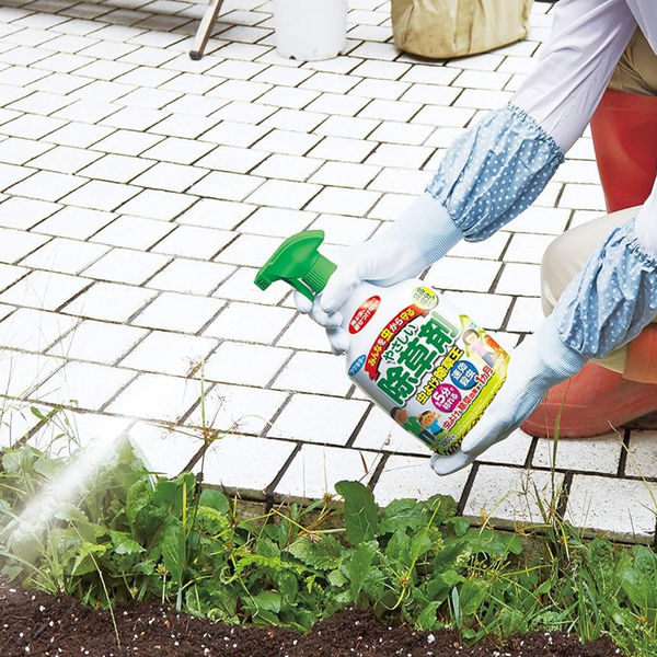 虫よけ除草王 1000ml 12本 液体 除草剤 フマキラー - アスクル