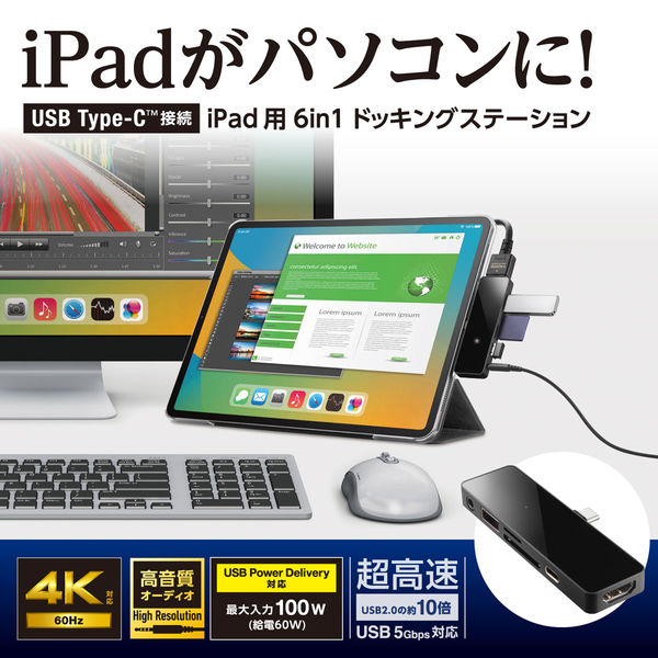 iPad専用 USB Type C ドッキングステーション ハブ 6-in-1 ブラック