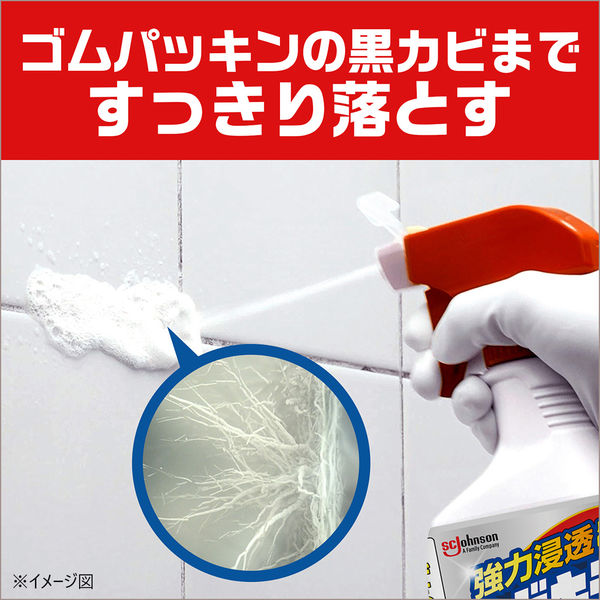 カビキラー カビ取り 業務用 詰め替え用 5kg(空ボトル400g付き