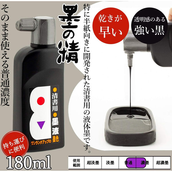 書道用 墨 2本セット 書道セットGA-504S 黒 (GA504-14)