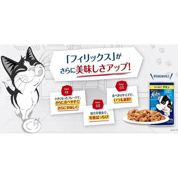 フィリックス 猫 やわらかグリル 子ねこ チキン 50g 12袋 ネスレ日本