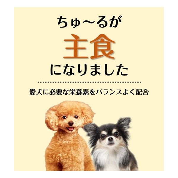 いなば ちゅーるごはん 犬 とりささみ&ビーフ チキンミックス味 国産