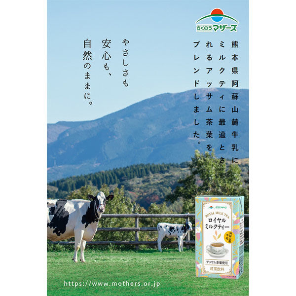 らくのうマザーズ ロイヤルミルクティ 250ml×12本 4908839185584（直送