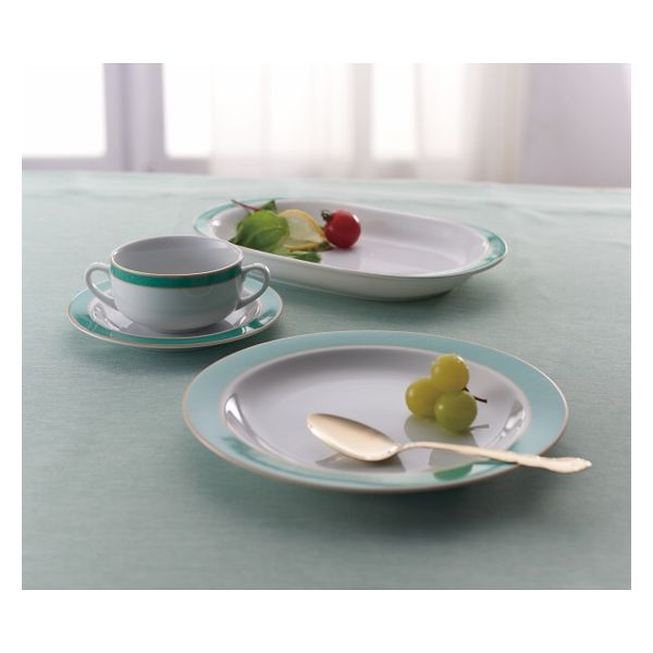 ミスターボス エメラルドグリーン 25ピースホームセット SYAー063 1箱