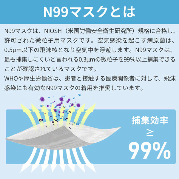 RABLISS N99防護マスク 10枚入 小林薬品 KO336 しめひも調整可
