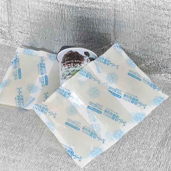 法人様限定】アイスジャパン 超低温保冷剤 スーパー冷却 400g 42個入×5