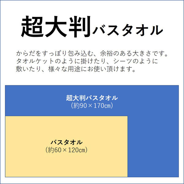 林 超大判バスタオル フラッピーカラー 3枚セット ブルー(青) LN446601