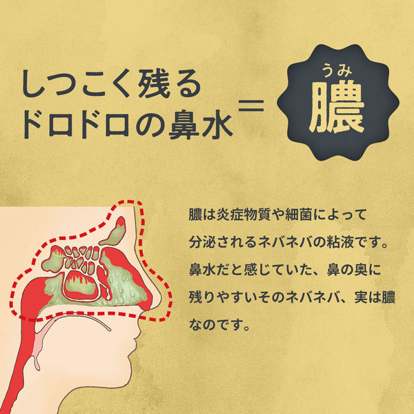 チクナイン （シャワータイプ 鼻洗浄器 +水で薄める専用原液6包