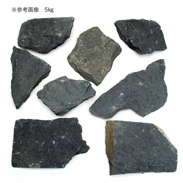 【返品?交換対象商品】 黒甲石 形状お任せ リーフ サイズミックス 255195 5kg(約5~25cm) 砂利・石・枕木