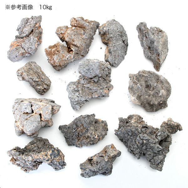 リーフ 形状お任せ 裂渓石 サイズミックス 10kg(約5~30cm