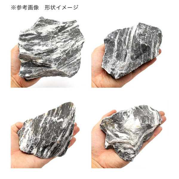 リーフ 形状お任せ 龍迅石 サイズミックス(約5~25cm) 10kg 60cm