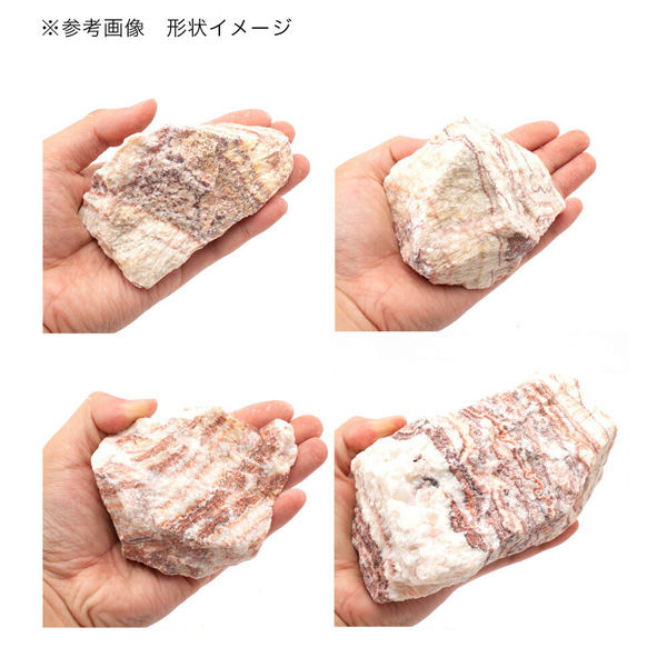 リーフ 形状お任せ 朱紋石 サイズミックス(約5~15cm) 3kg 30cm水槽向け