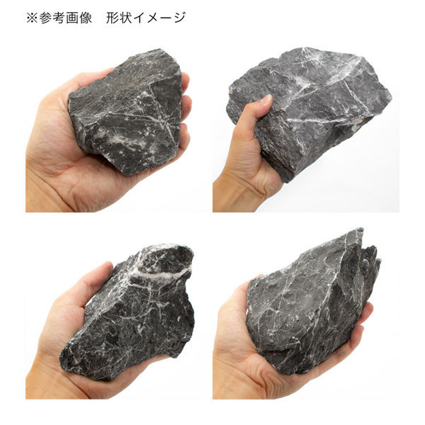 岐阜県奥飛騨産 白山菊紋石 磨き石 541g｜天然石 通販のキラリ石