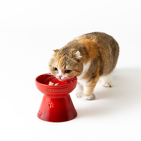 ル・クルーゼ ハイスタンド フードボウル ペット用 犬 猫 食器 ペット ...