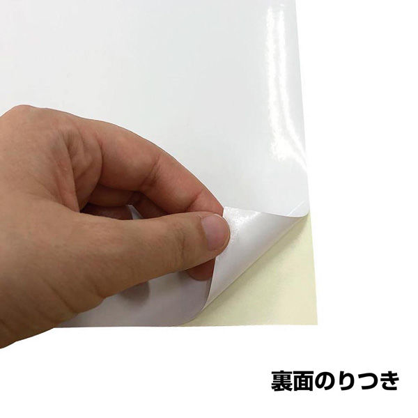 光沢シール用紙 A3 25枚 NST-A3-25 5パック エヒメ紙工（直送品