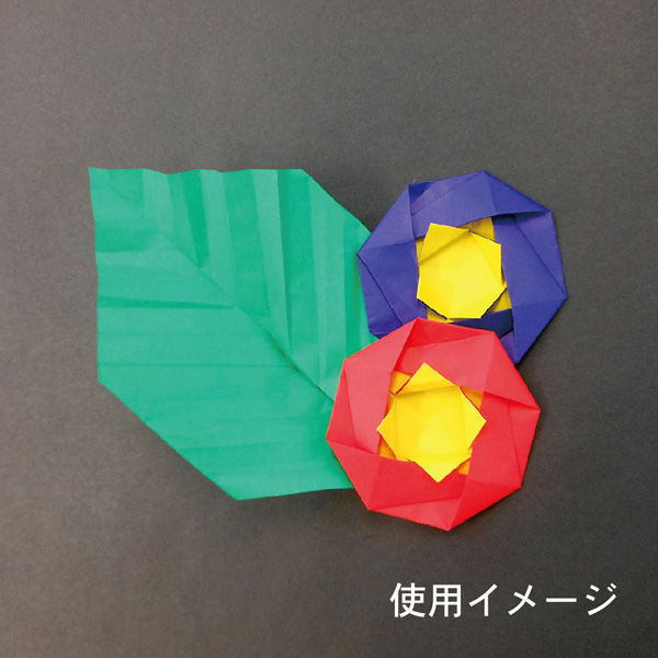 両面おりがみ25cm 24枚 WC-3525 10パック エヒメ紙工（直送品） - アスクル