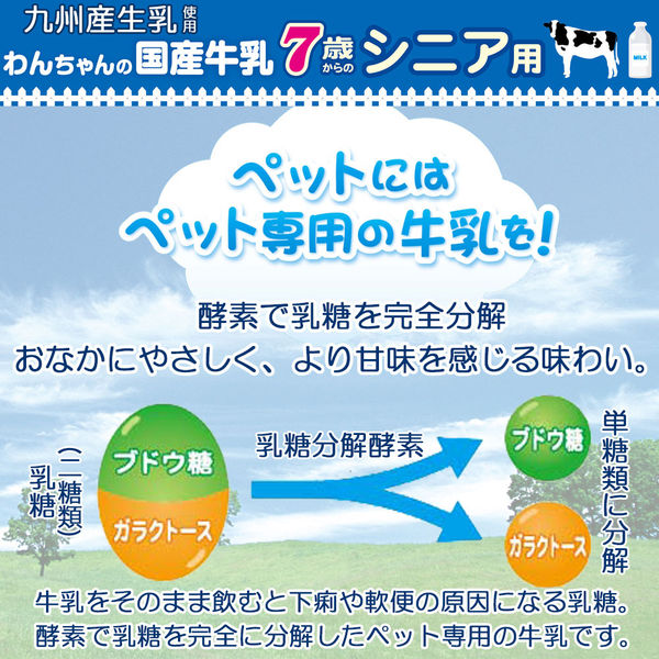 わんちゃんの国産牛乳 7歳からのシニア用 200ml 6個 ドギーマン ドッグフード 犬 おやつ ミルク