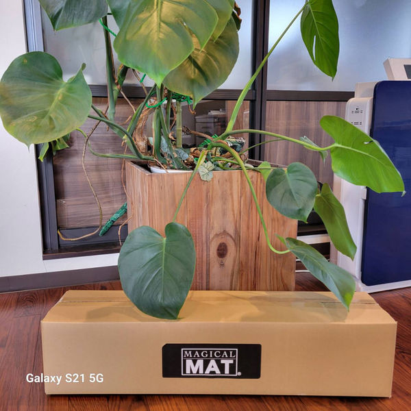 【電位空間発生装置】サンクレド　電位空間マジカルマット　SUN-MAT/5　1台（直送品） MAGICAL サンクレド