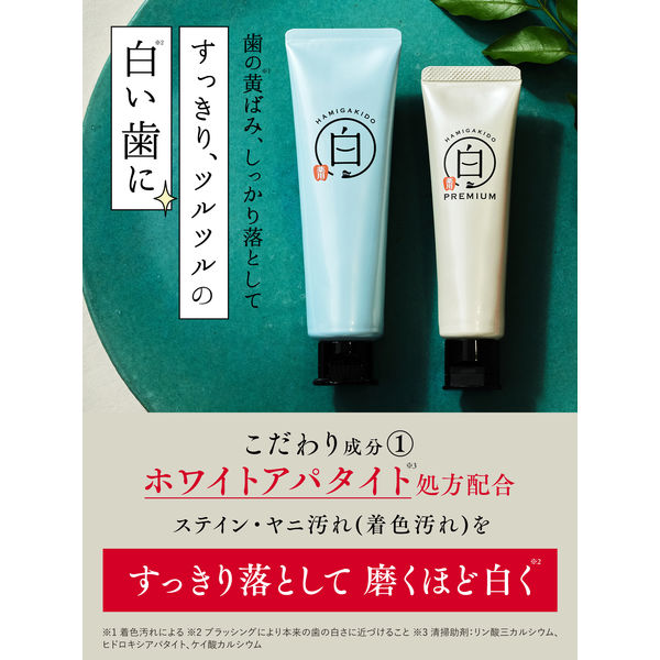 歯磨き堂 薬用ホワイトニングペースト 【医薬部外品】 90g 1本