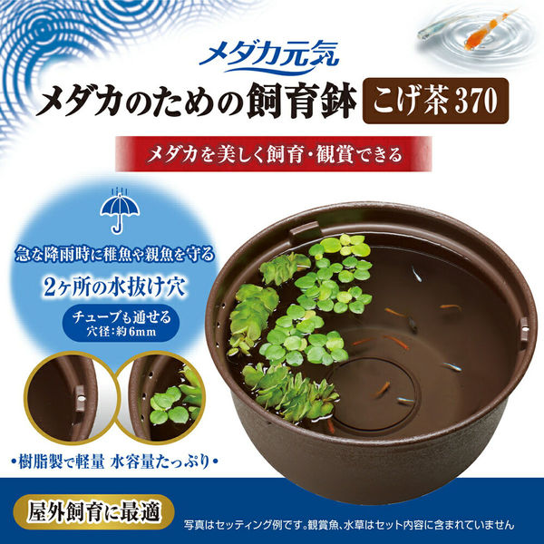 メダカ元気 メダカのための飼育鉢 みかげ 420 | ジェックス株式会社