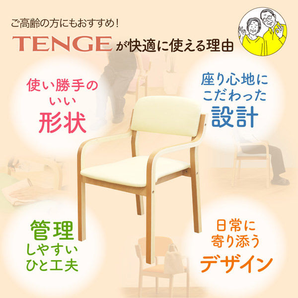 ネットフォース テンジュ ダイニングチェア 介護用椅子 組立品
