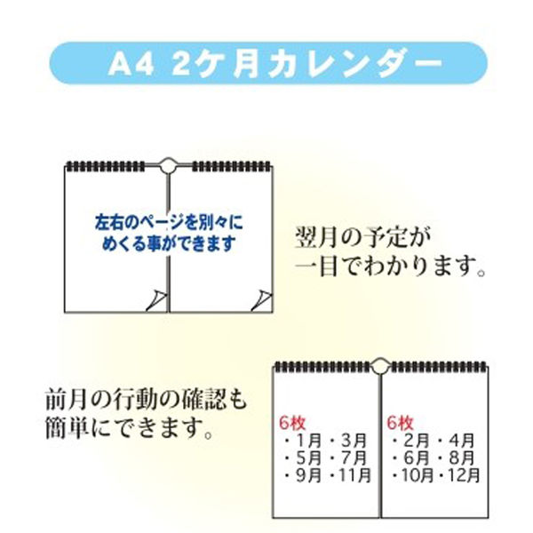 エムプラン 【2024年版】ベーシック A4 2ヶ月 壁掛カレンダー 203813-01 1セット（2冊）（直送品）