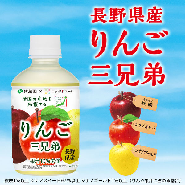 伊藤園 ニッポンエール 長野県産 りんご三兄弟 280g 1箱（24本入