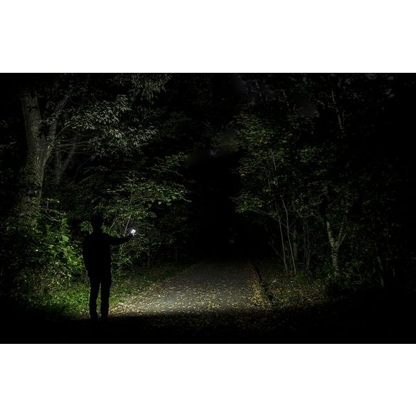 おもち ジエントスLED ライト GS330 ２個 GS335 3個 □GENTOS 作業灯 COB LED搭載充電式ワークライト GanzX233