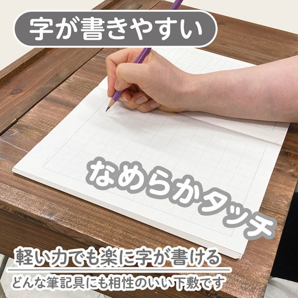 共栄プラスチック 下敷 しっかりシタ字キ B5 方眼/無地