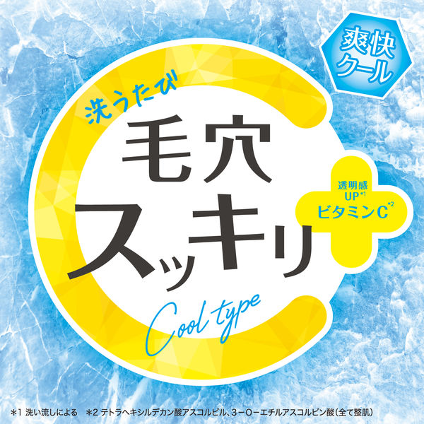 数量限定】クレンジングリサーチ ウォッシュクレンジング C