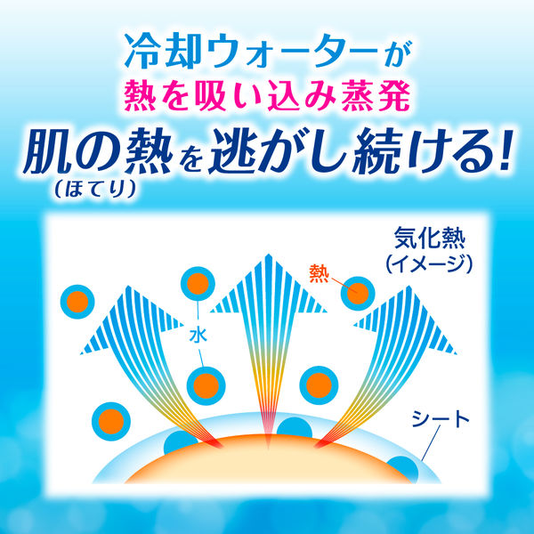 ビオレ 冷タオル 無香性 個包装 5枚入×2個 冷却シート 花王 汗拭きシート 汗ふきシート